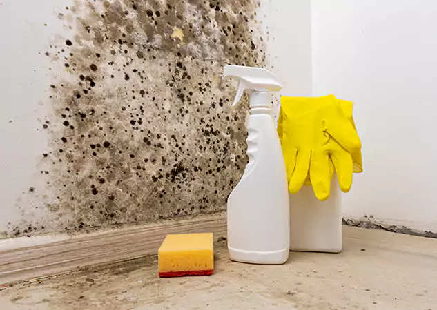 Your Reliable Restoration Company in North Metro, GA