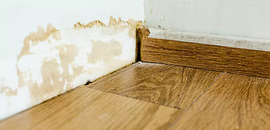 Professional Fix Water Damaged Wood Services in North Metro, GA